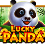 Lucky Panda